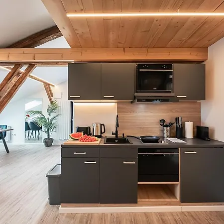 Loft Mit Kueche I Self Check-in I Parkplatz I Wifi I Crest Housing Apartament Pasawa