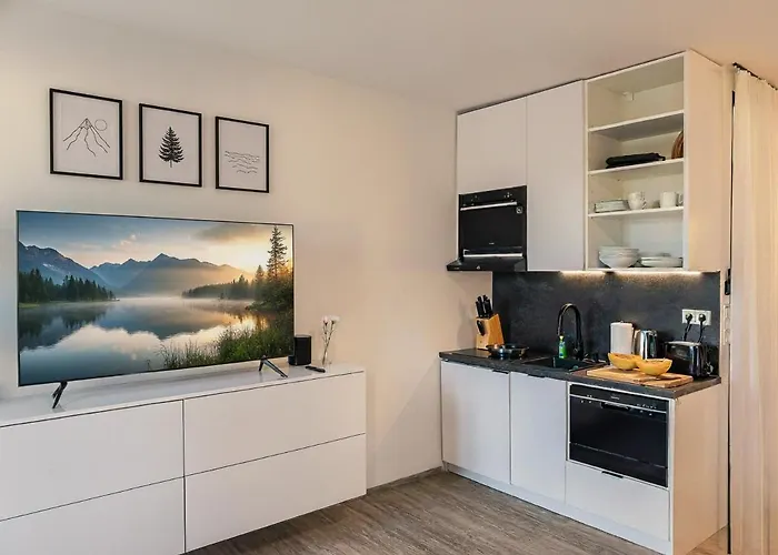 CREST Riverside Lofts I Küche I Parken I Self Checkin I WIFI * Passau