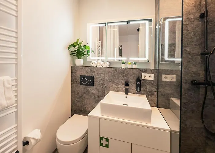 CREST Riverside Lofts I Küche I Parken I Self Checkin I WIFI Apartment Passau