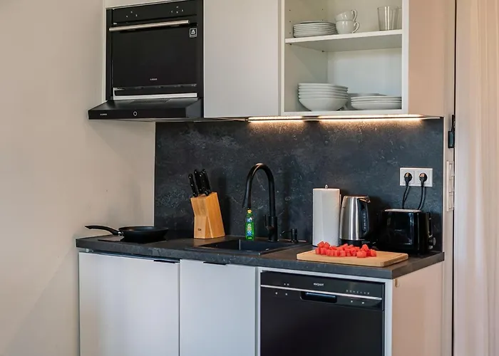 CREST Riverside Lofts I Küche I Parken I Self Checkin I WIFI Apartment Passau